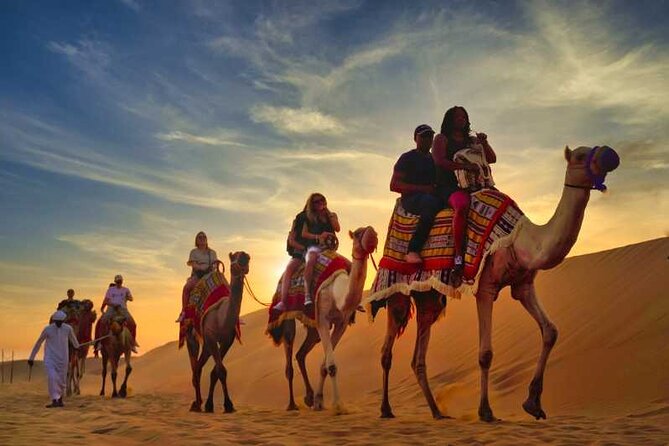 VIP Desert Safari Camel Ride Sand Boarding & BBQ Dinner - Camel ride in open desert: 150 meters, sunset vibe, and photo reality