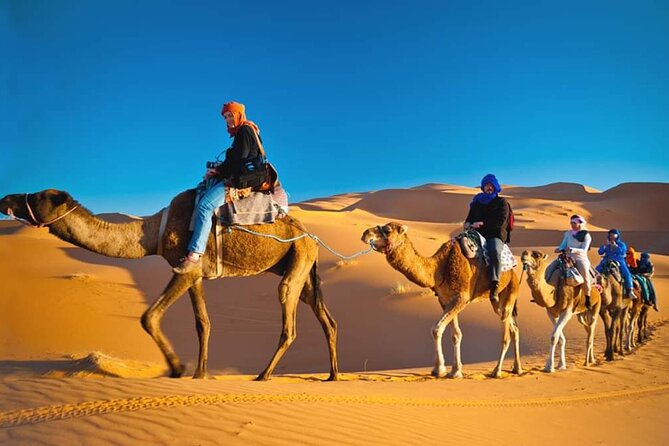 VIP Desert Safari Dubai - Live entertainment: tanoura, belly dancing, and fire shows