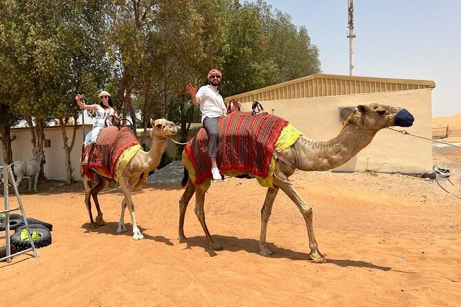Vip Desert Safari Dubai with Camel Riding BBQ Dinner & Live Shows - How to Plan Your Day Around a 3:00 pm Start