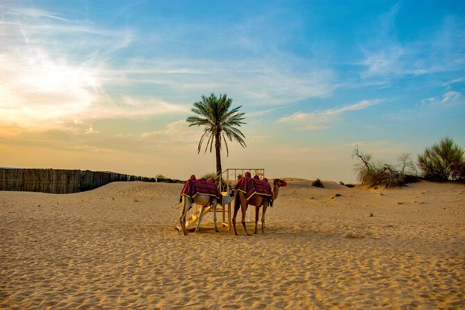 VIP Dubai Desert Safari Camel Ride, Sand Ski, Live BBQ Dinner - Dune bashing and sandboarding: the part you plan your whole night around