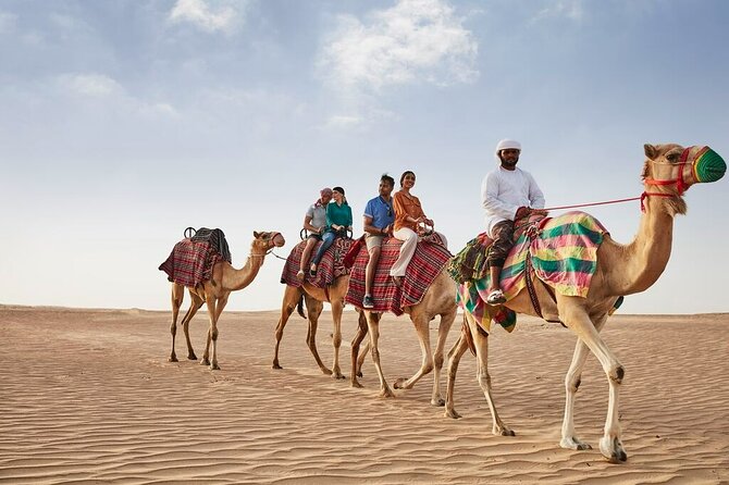 VIP Dubai Sunset Desert Safari: Camel Ride, BBQ, Unlimited Spirit - VIP Majlis BBQ Dinner, Unlimited Drinks, and Traditional Shisha
