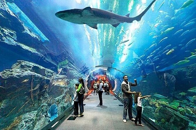 VIP Experience Dubai Aquarium & Underwater Zoo-As per Selection - Practical Tips for a Smoother, Better-Looking Visit